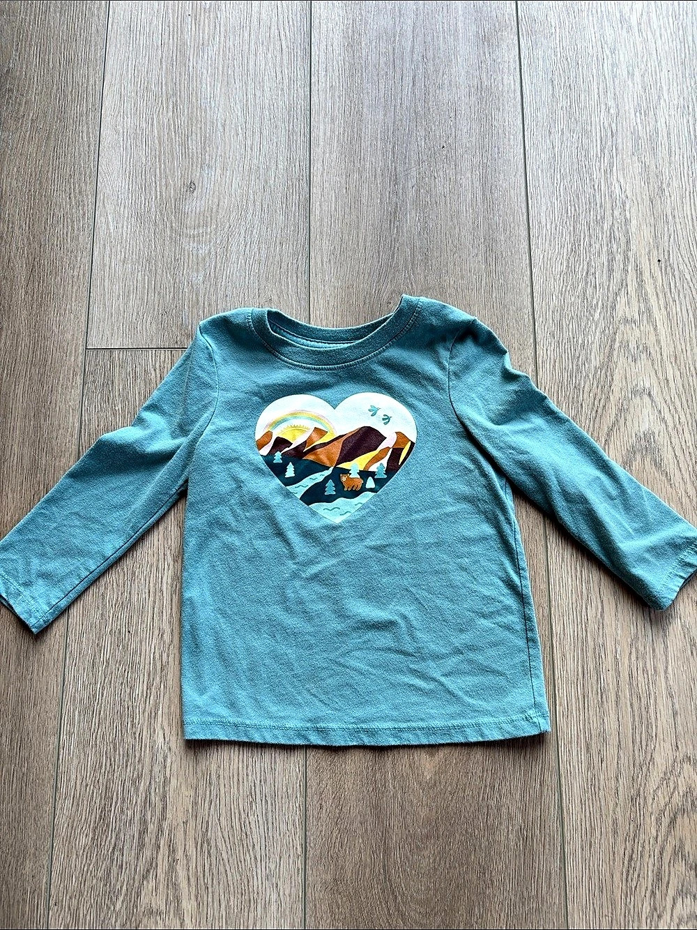Kids Long Sleeve Graphic Tee in Blue Like New